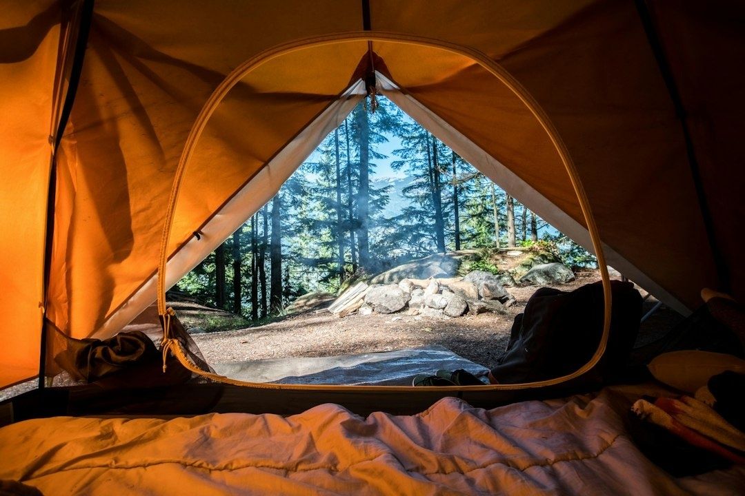 Uitzicht vanuit een tent op een bosrijke kampeerplek